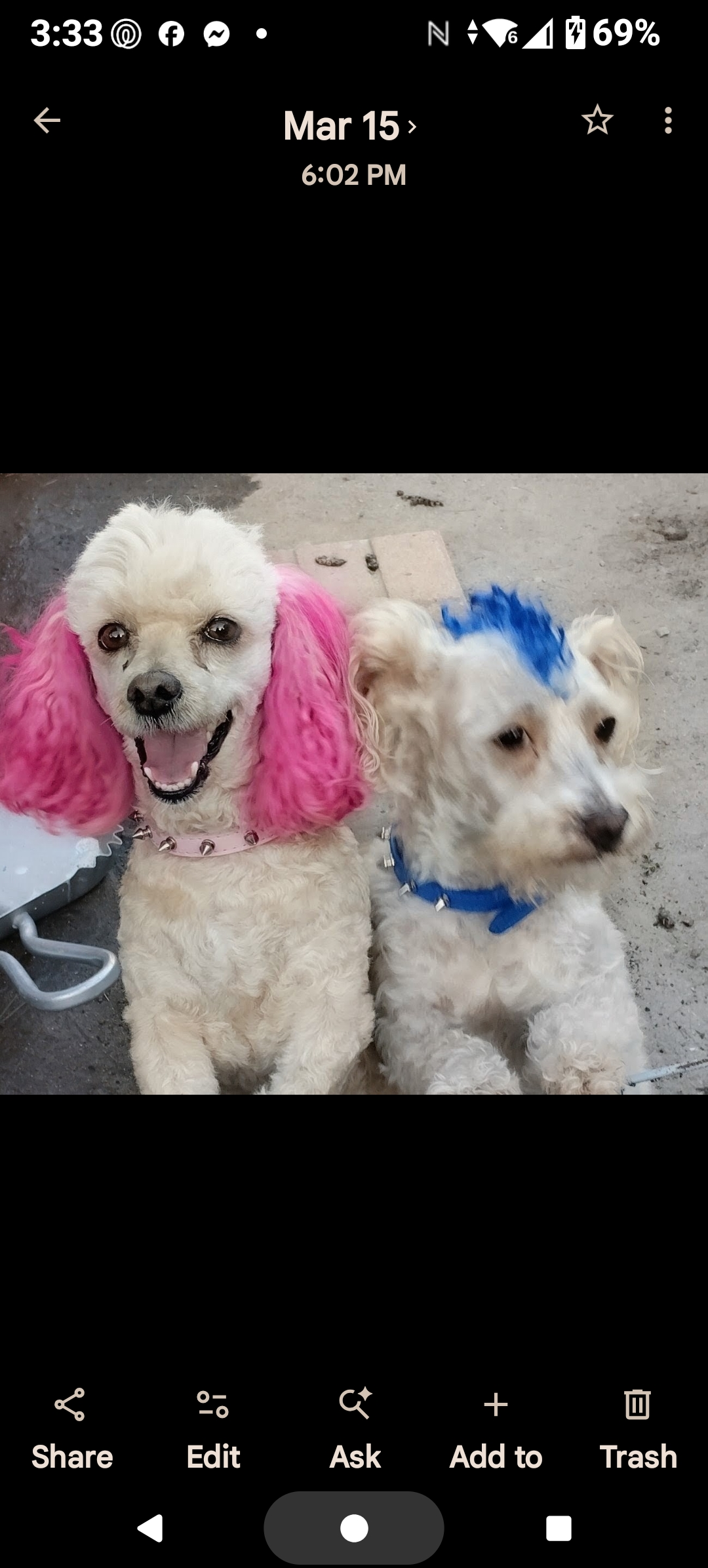 A Dog Walk around Hillcrest Park